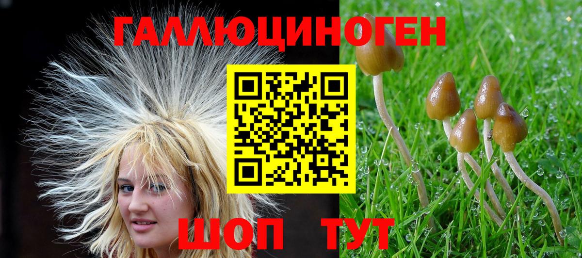 Галлюциногенные грибы мицелий  магазин продажи   Волгодонск  Вход с VPN 